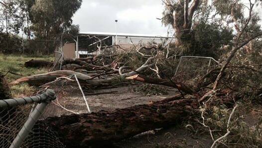 Sunday night's storm hit the Bunbury Trotting Club and left debris across the facility. Photo by Kathleen A Lane. 