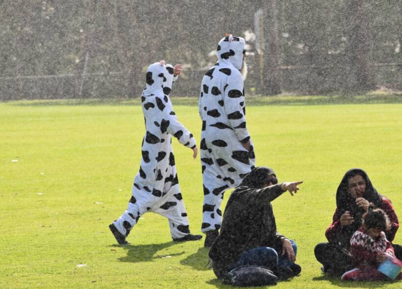 Rain or shine, the annual DejaMoo fair is a chance for locals to dust off the onesies and wellies. Picture: Nicky Lefebvre
