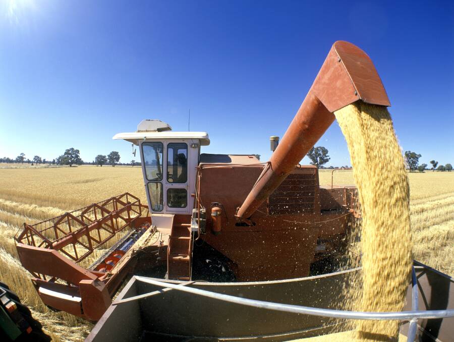 Bumper crops: Wheat harvesting. Photo: Shutterstock.