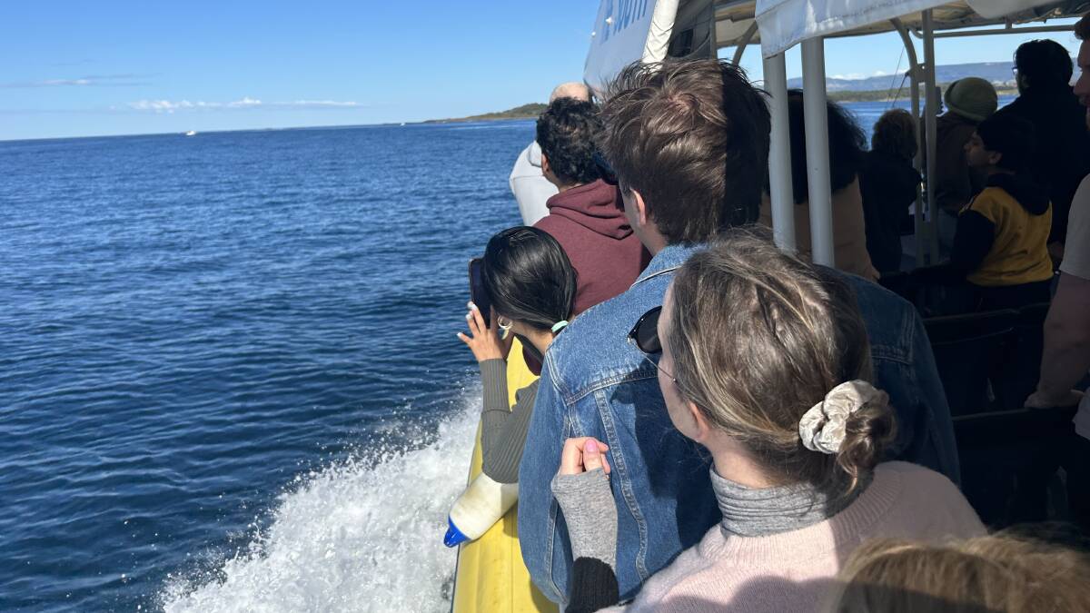 On board a whale watching cruise with Shellharbour Wild. Picture by Nadine Morton