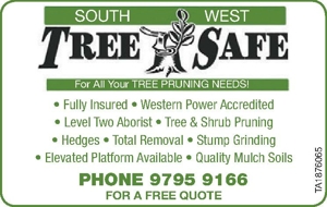 Tree Services TA1876065 For All Your TREE PRUNING NEEDS!SOUTHW